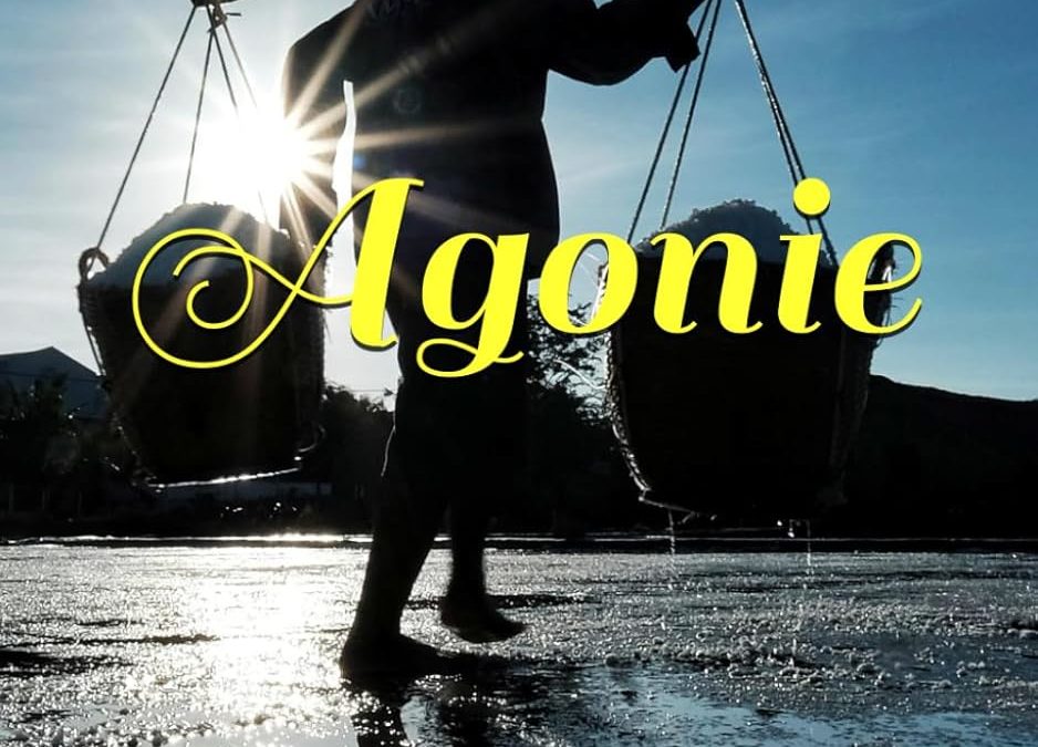 Agonie